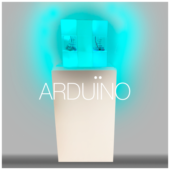 arduino project